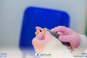 عيادات طب الاسنان